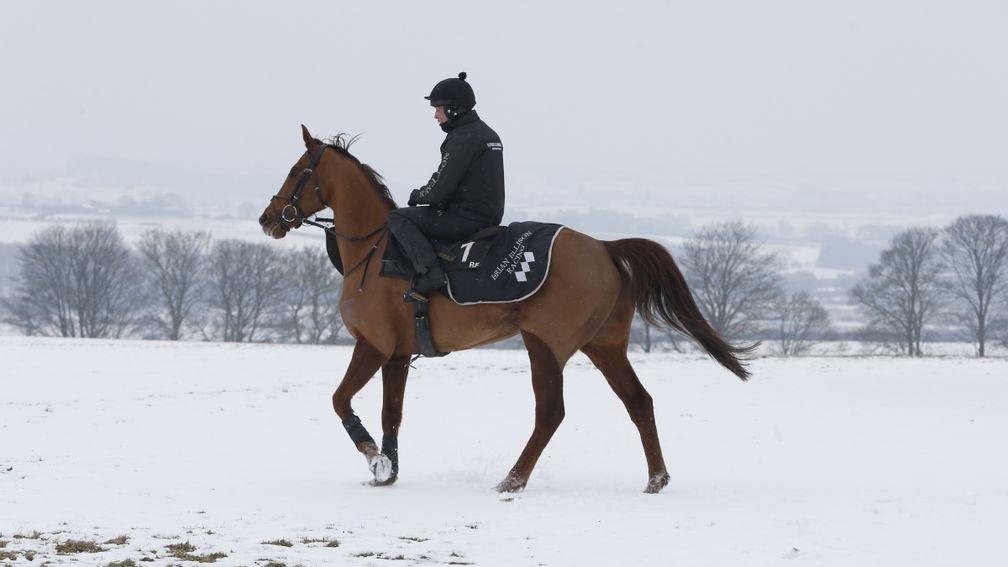 Definitly Red: bidding to leave his Betway Bowl rivals out in the cold
