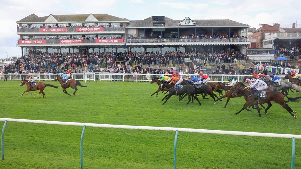 Ascot Adventure leads home Cold Stare in the Bronze Cup at Ayr