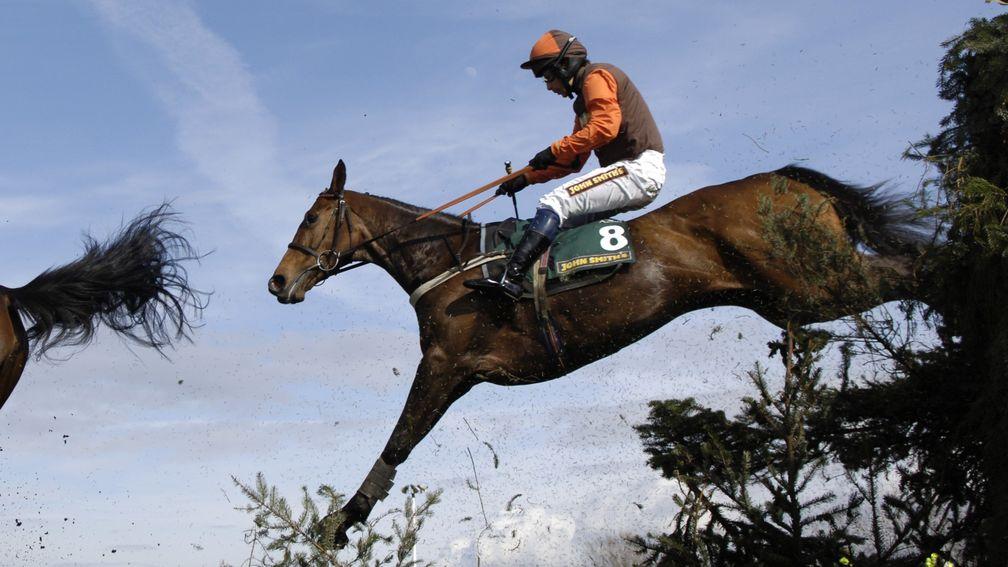 Liberthine: won the Mildmay of Flete in 2005 and the Topham Chase at Aintree in 2006