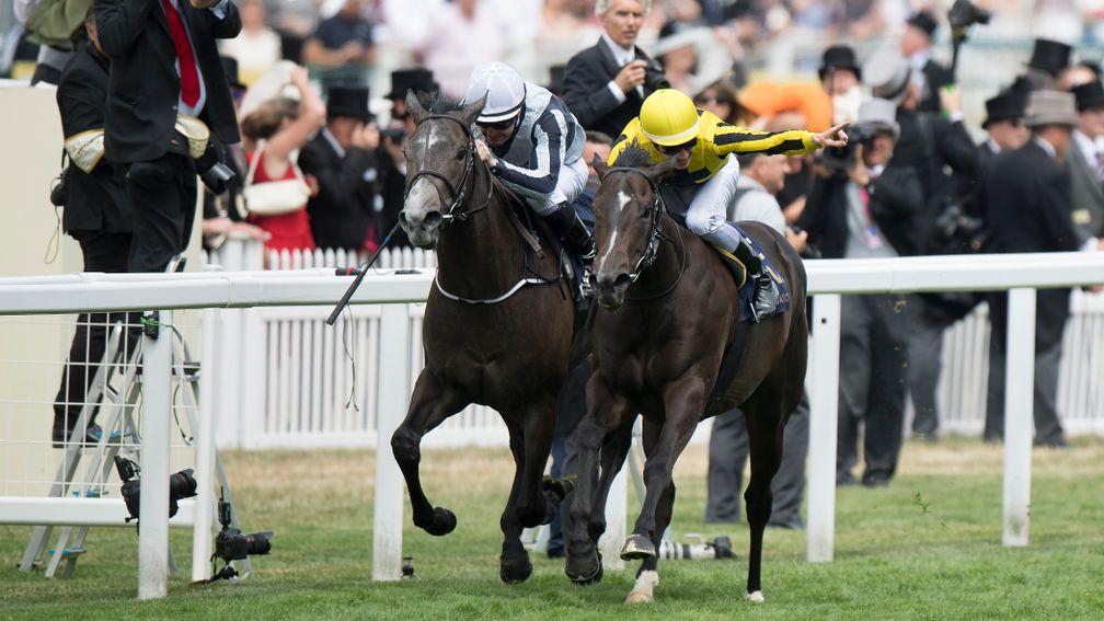 Different League, carrying the Marnanes' yellow and black silks, beats Alpha Centauri at Royal Ascot