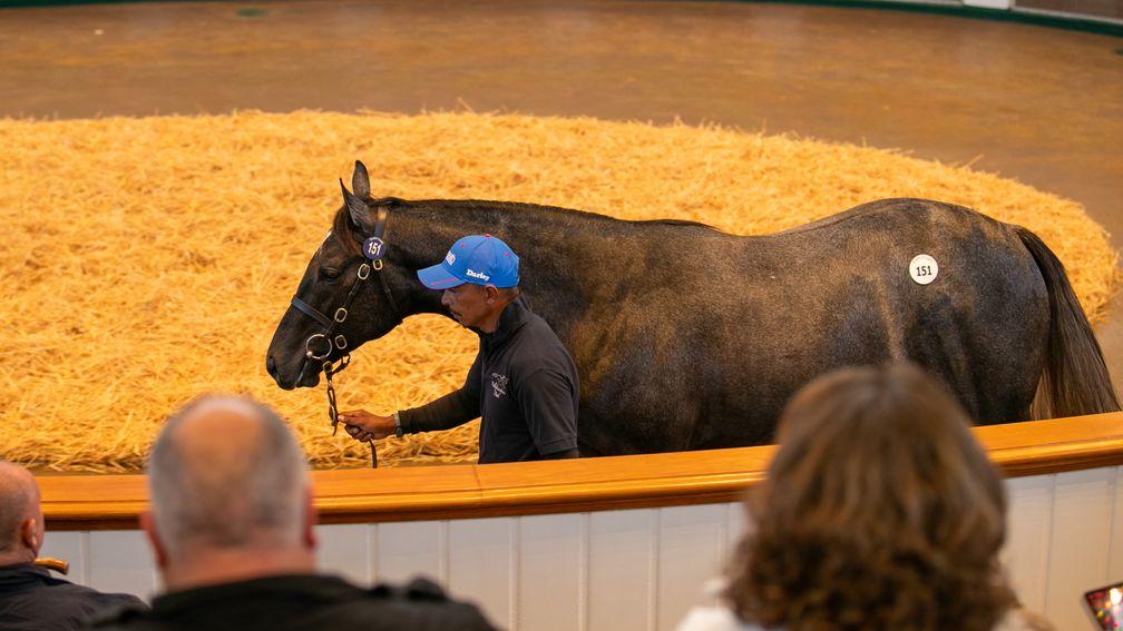 The colt by Ghaiyyath out of Tickled Pink who topped trade on day one of Book 1