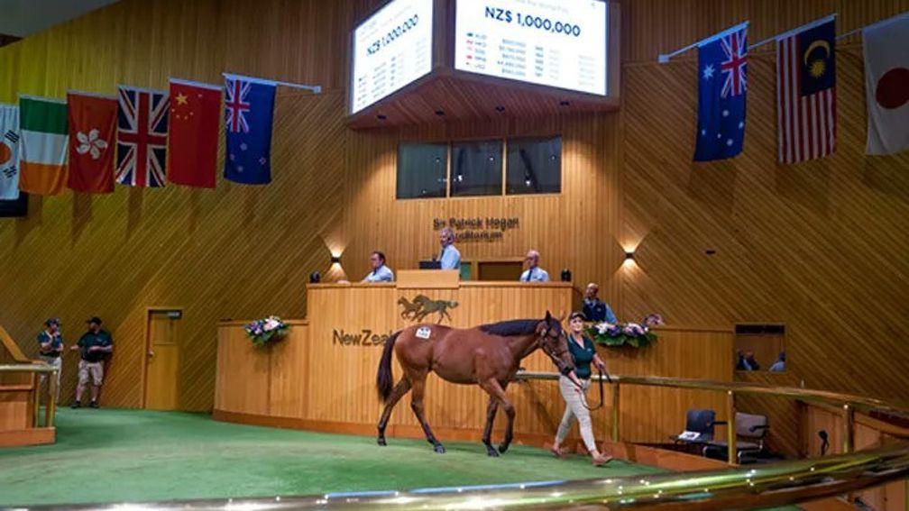 The sale-topping Fastnet Rock filly in the ring on Tuesday