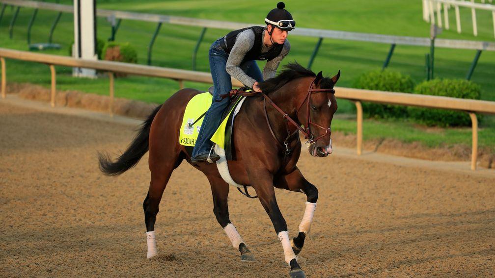 Omaha Beach stretching out at Churchill Downs on Wednesday morning. Hours later he was scratched and will undergo a minor prcedure next week for an entrapped epiglotis