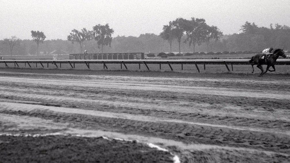 Damascus winning the 1967 Travers by 22 lengths