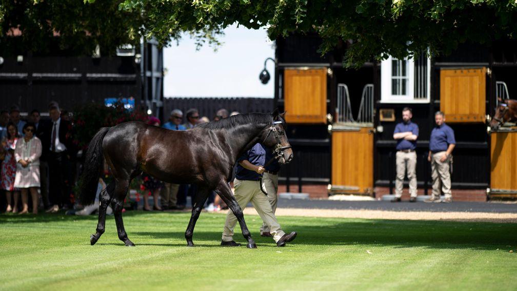 Golden Horn: the Derby and Arc hero supplied his first Group winner on Saturday