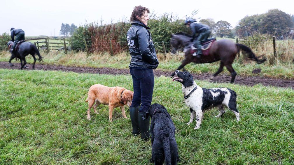 Well trained: Lucinda Russell, closely attended by her dogs, watches her horses gallop