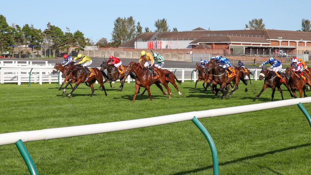 Bielsa (blue and white, starred cap) was not beaten far in the Ayr Gold Cup