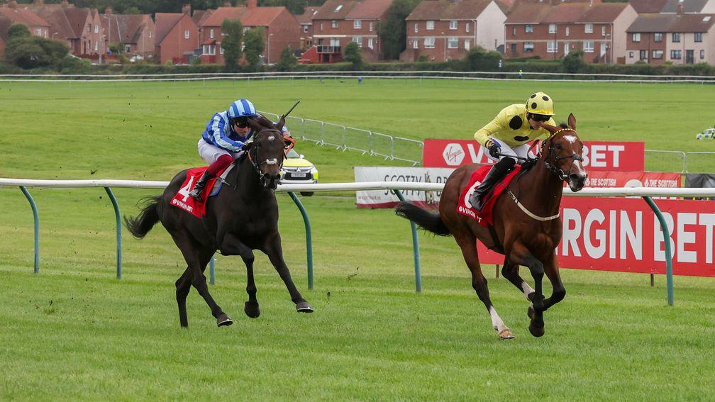Royal Rhyme (right): recent Ayr winner likely to enjoy ease in the ground on Saturday