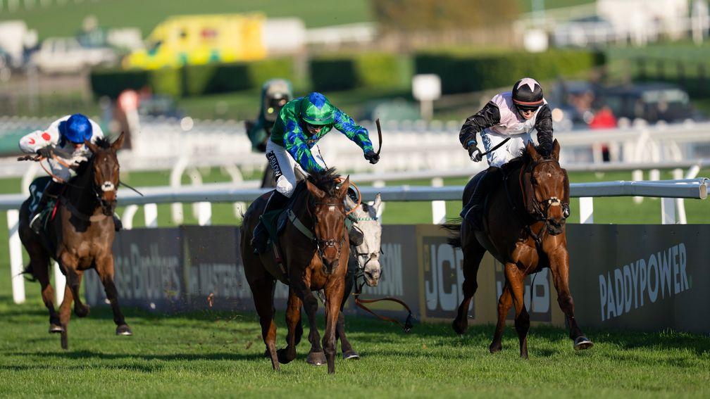 Ga Law (centre): stayed on best to win the Paddy Power Gold Cup