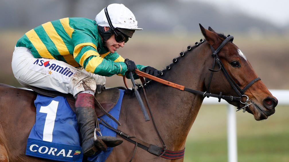 Defi Du Seuil: shares his sire, Voix Du Nord, with another Boudot-bred star in Taquin Du Seuil