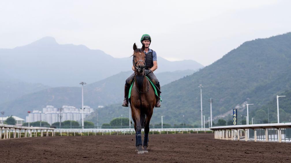 West Wind Blows pictured at Sha Tin racecourse in earlier this week