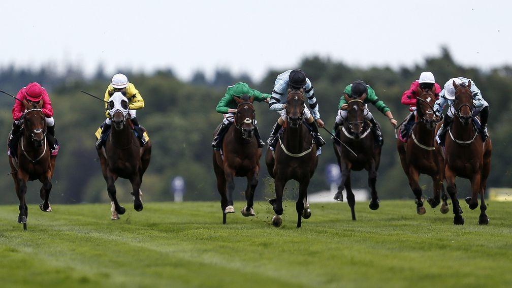 The Shergar Cup takes place at Ascot on Saturday