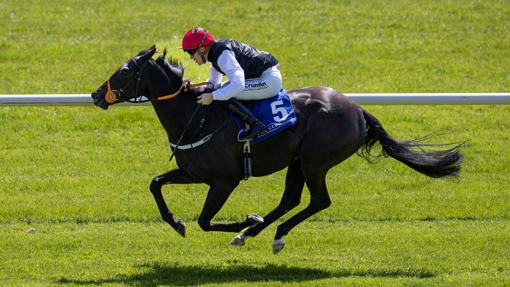 Just Beautiful: Lanwades Stud Stakes winner and Matron Stakes third is set for a big date for her first covering