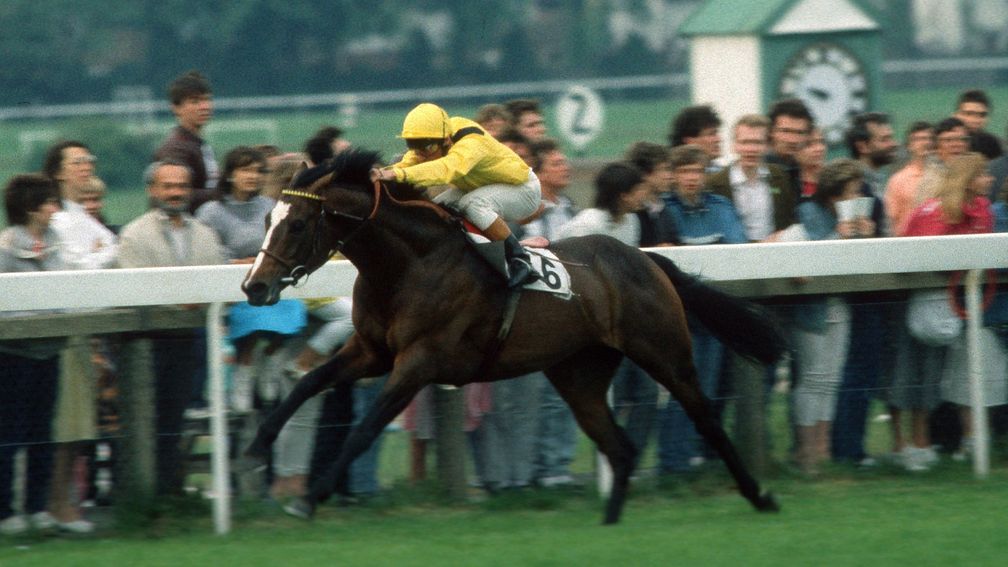 Mtoto opens his Group-race account in the 1987 Brigadier Gerard Stakes