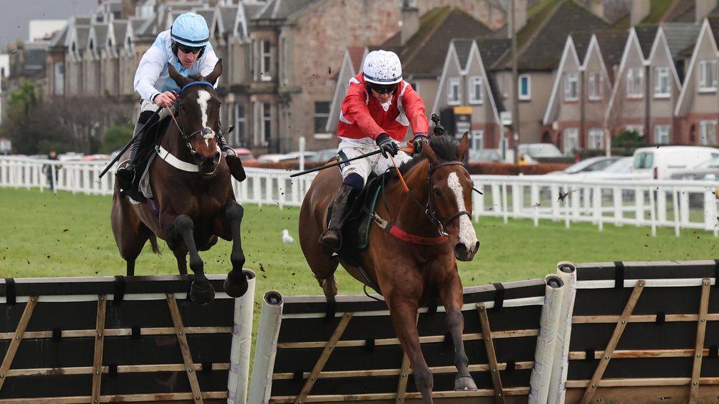 Chosen Templar (right): wins on stable debut for David Jeffreys at Musselburgh