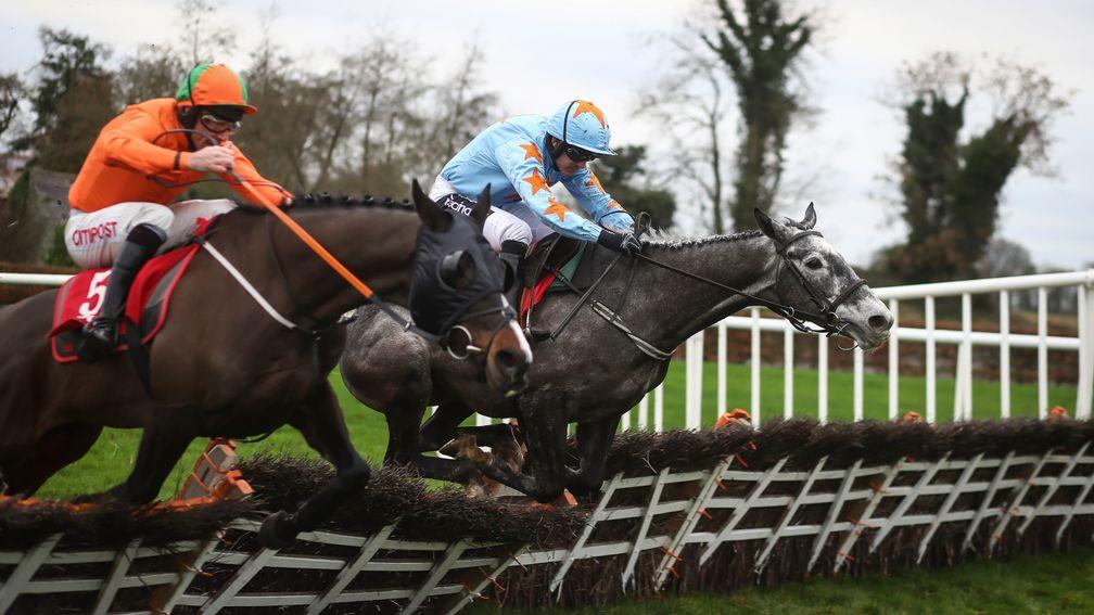 Bachasson (far side): won conditions hurdle at Punchestown on New Year's Eve