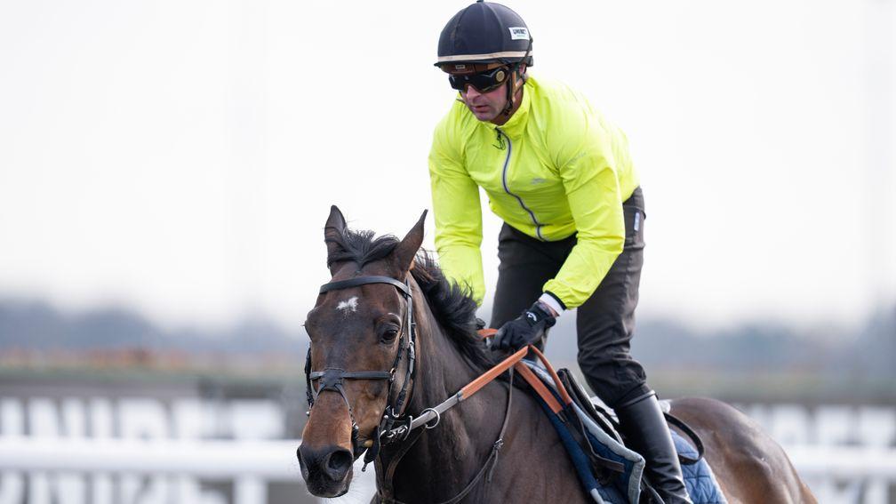 Nico de Boinville riding Constitution Hill at Kempton on Tuesday