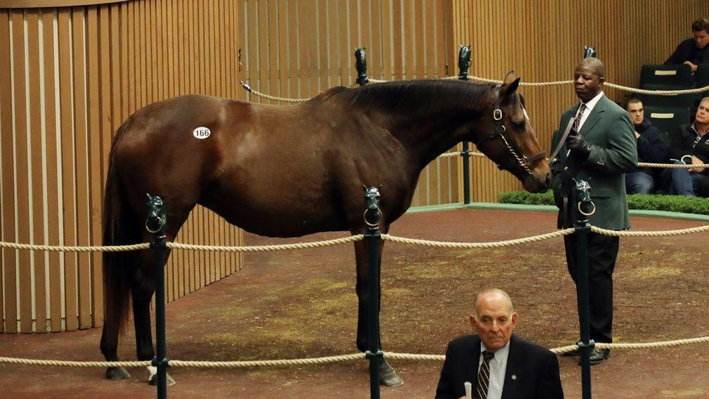 Pretty Perfect in the Keeneland sales ring before being sold to Town & Country House Farms for $1.125 million