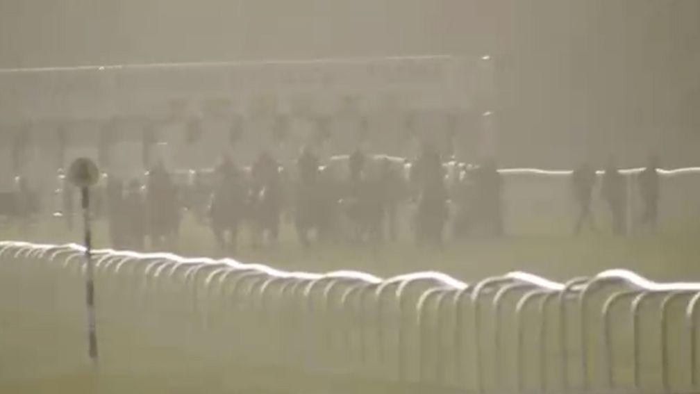 The horses are barely visible as the field exit the stalls in Windsor's opening contest 