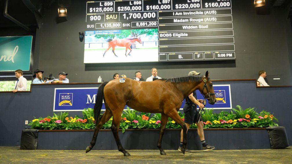 The I Am Invincible filly out of Madam Rouge sells to Hill ‘N’ Dale owner John Sikura for A$1.7 million at Magic Millions