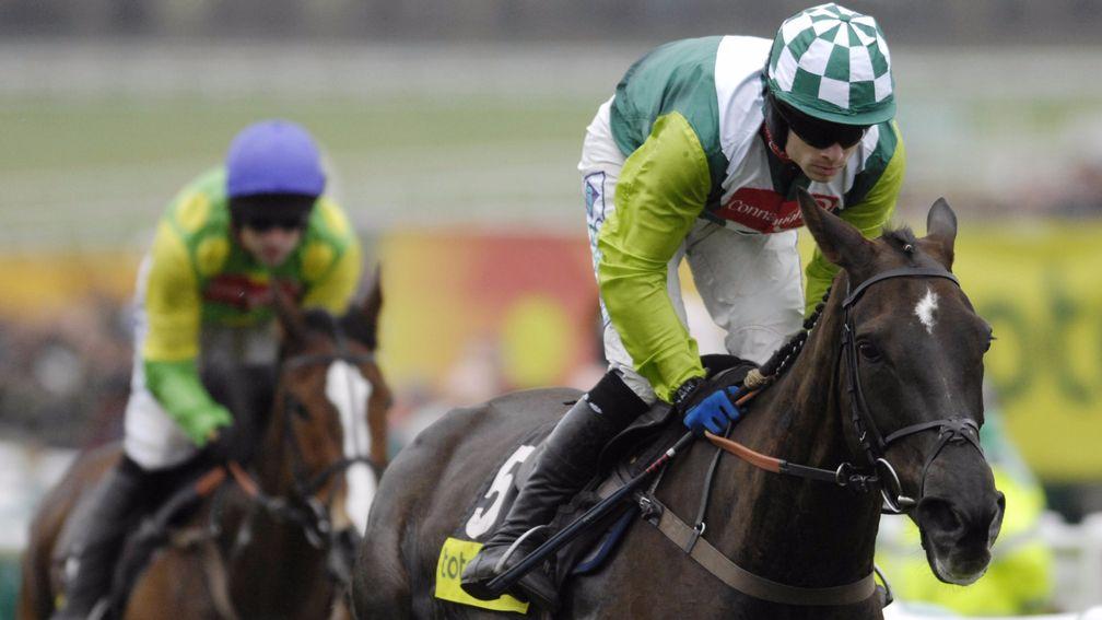 Denman: the legendary Cheltenham Gold Cup winner is the best representative of his sire Presenting