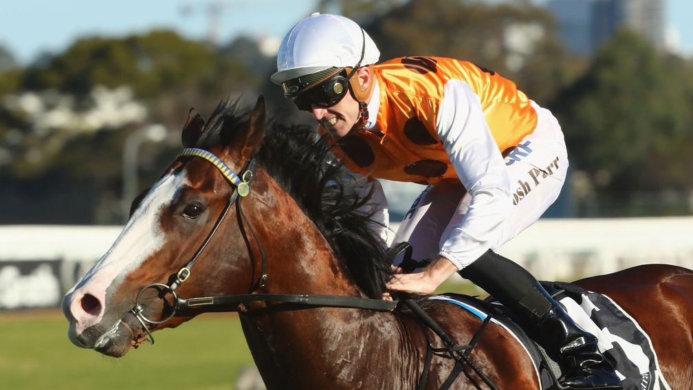Josh Parr rides Menari to win the Run To The Rose at Rosehill Gardens - Photo: Mark Evans/Getty Images