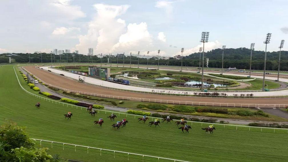 Some of the horses and humans forced to move from Kranji could find refuge in Malaysia