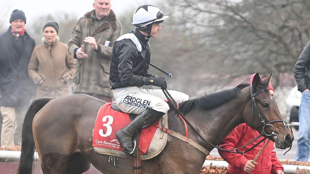 Impervious: 3-1 shot for the Mrs Paddy Power Mares' Chase at Cheltenham