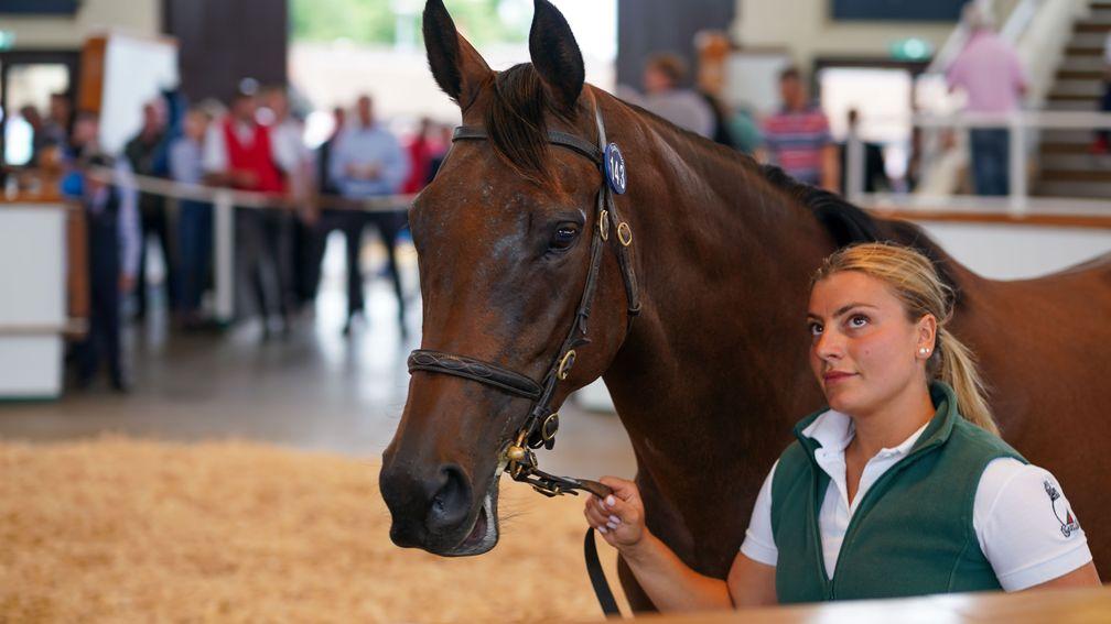 Over The Rainbow: daughter of Dubawi and Seventh Heaven sold to Coolmara Stables for 270,000gns on the first day of the Tattersalls July Sale