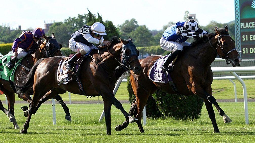 Red Cardinal (right) lands the Grade 3 Belmont Gold Cup in New York in June