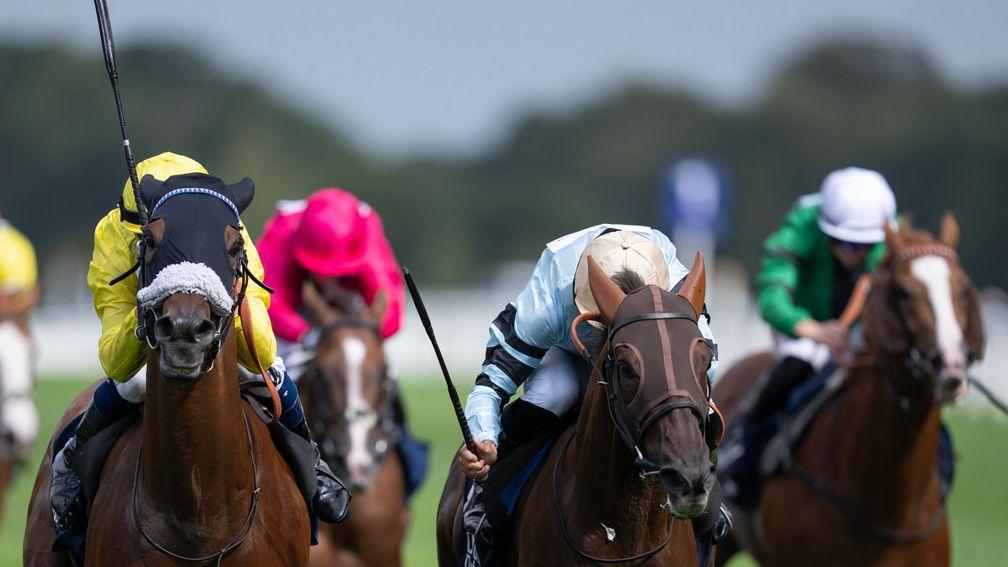 Perotto (Thore Hammer Hansen, second from right) gets up to beat Fox Tal  and Joao Moreira in a thrilling finish on Shergar Cup day at Ascot
