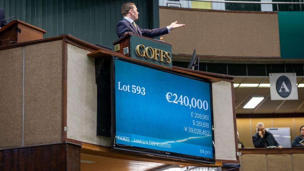 A battle for a Lope De Vega filly from Donnellys Well
went to €260,000 in favour of Dan Hayden