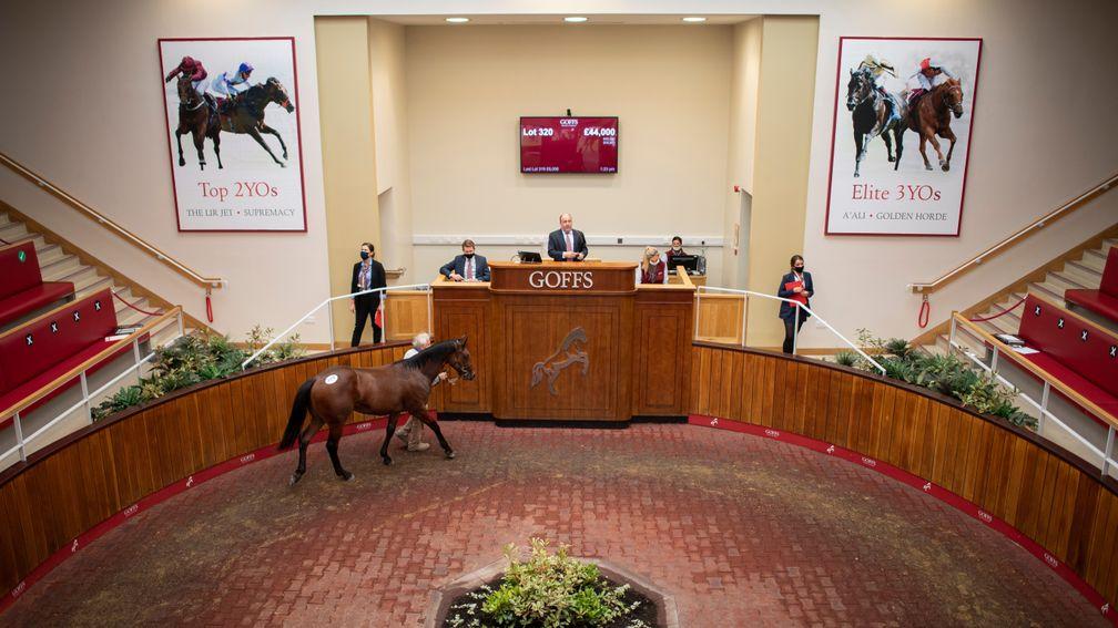 Goffs UK: the Doncaster auction ring will host the December HIT Sale