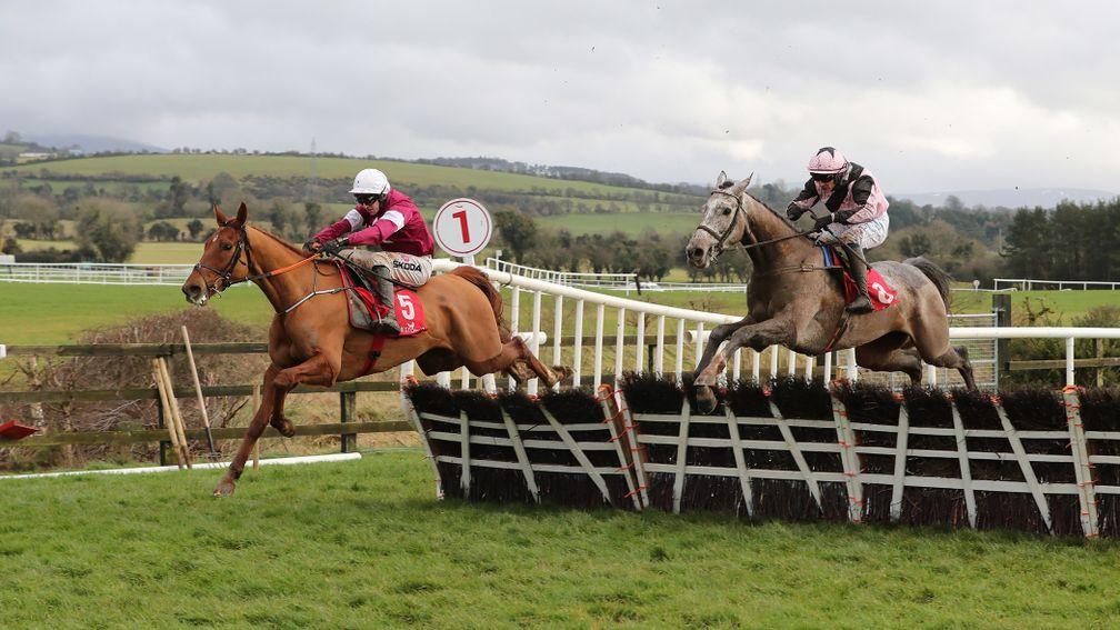 Run Wild Fred leads Lord Royal over the last to win at Punchestown under Mark Walsh