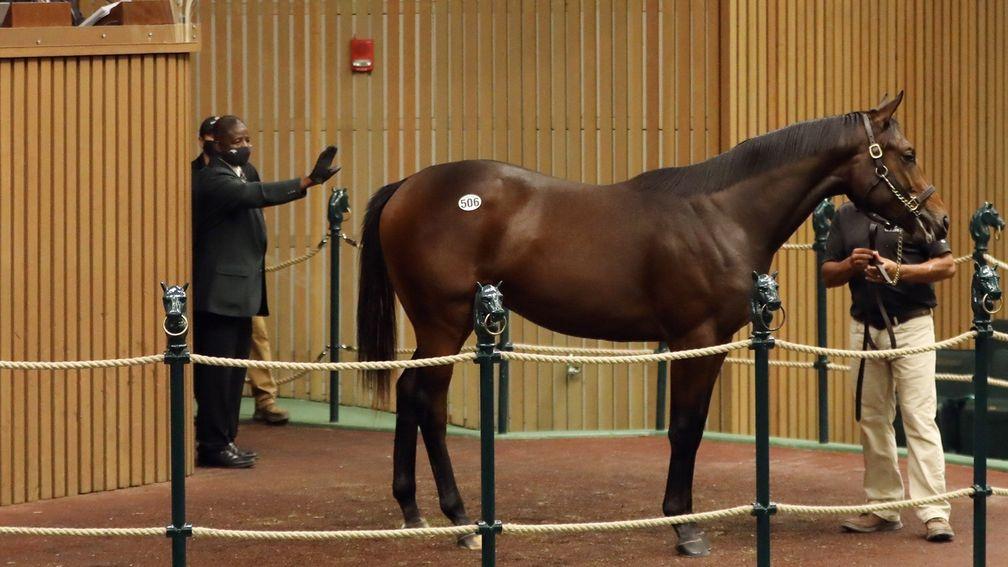 An Uncle Mo colt topped the day at an impressive $950,000