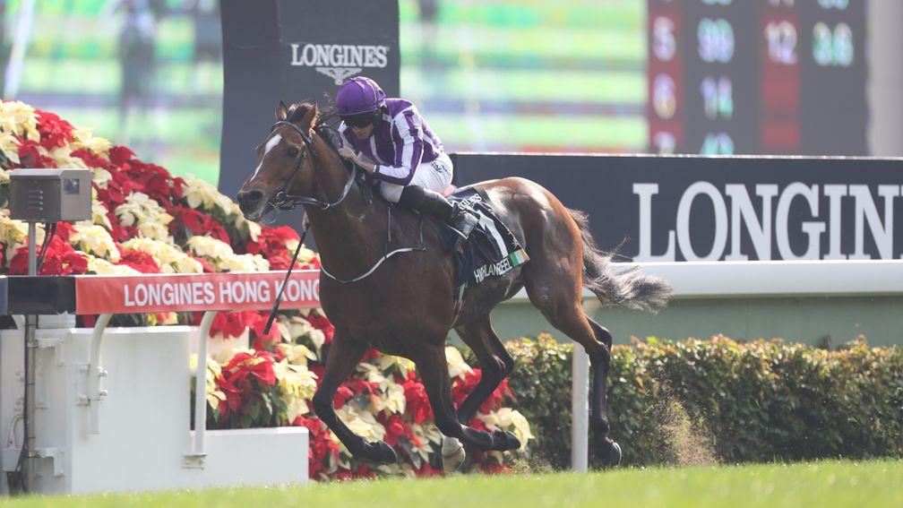 Highland Reel: globetrotting star was another great son of Galileo