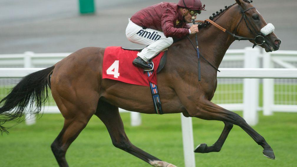 Elm Park, seen here winning at Sandown in 2015, has moved to Claremount Stud in County Clare