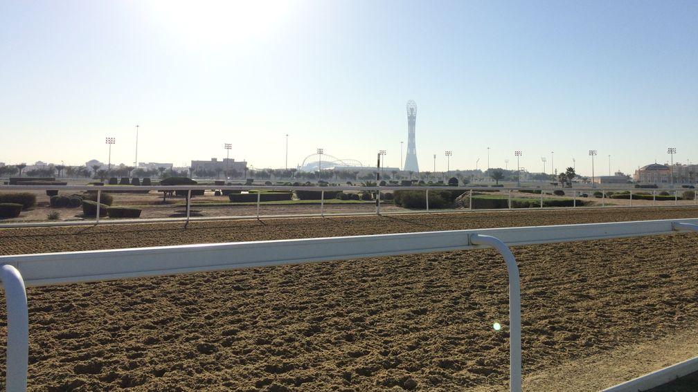 The view across the dirt track at Al Rayyan racecourse