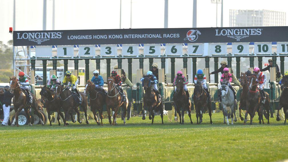 Hong Kong is set for its biggest day of the year with its International racecard