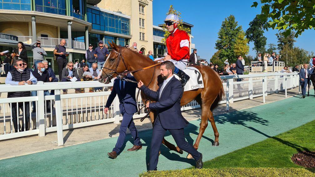 Malavath: dual Group winner and Grade 1-placed performer is set to sell at Arqana