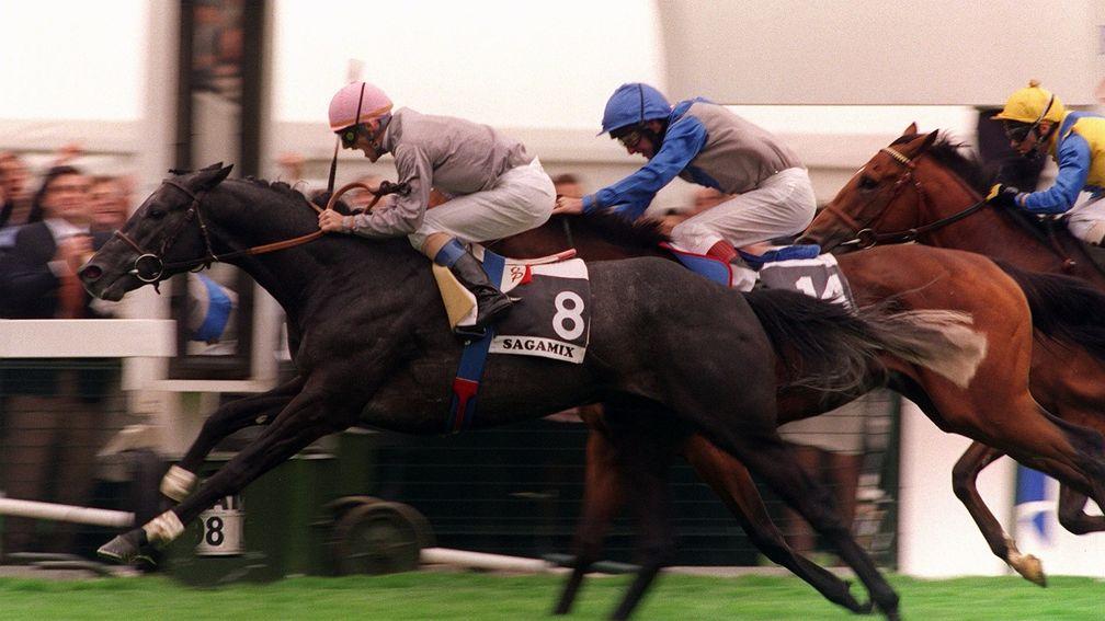 Grey destroyer: Sagamix and Olivier Peslier run down Leggera and Richard Quinn in the 1998 Arc