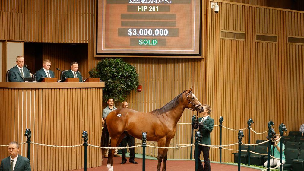 The Into Mischief colt out of the Grade 1-placed Nonna Mia sells to Terry Finley for $3 million on the second day of the Keeneland September Yearling Sale