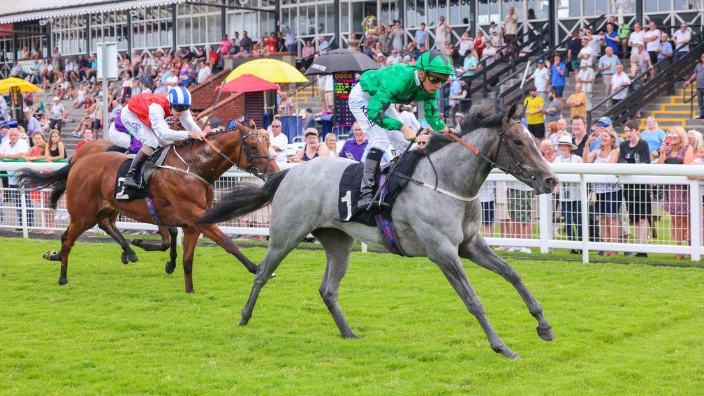 Star Of Lady M: will be benefitted from a low draw at Beverley
