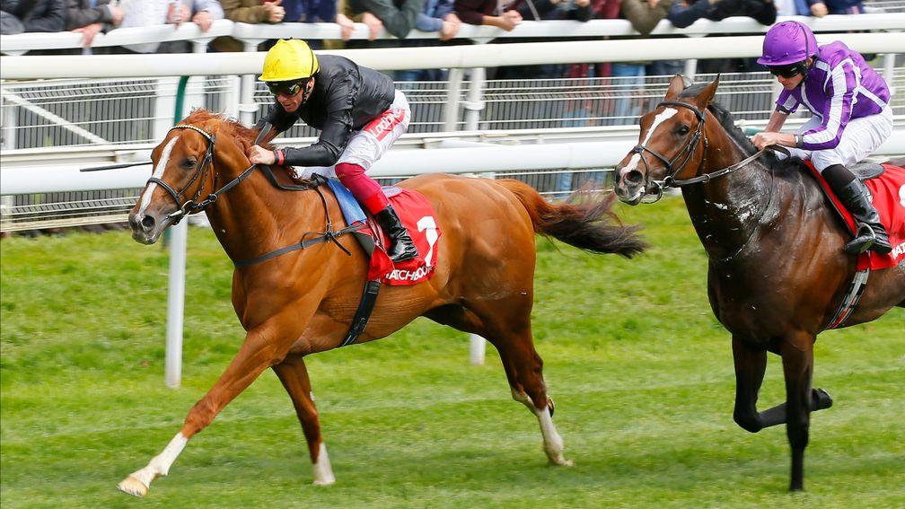 Stradivarius and Frankie Dettori capture the Yorkshire Cup ahead of Southern France