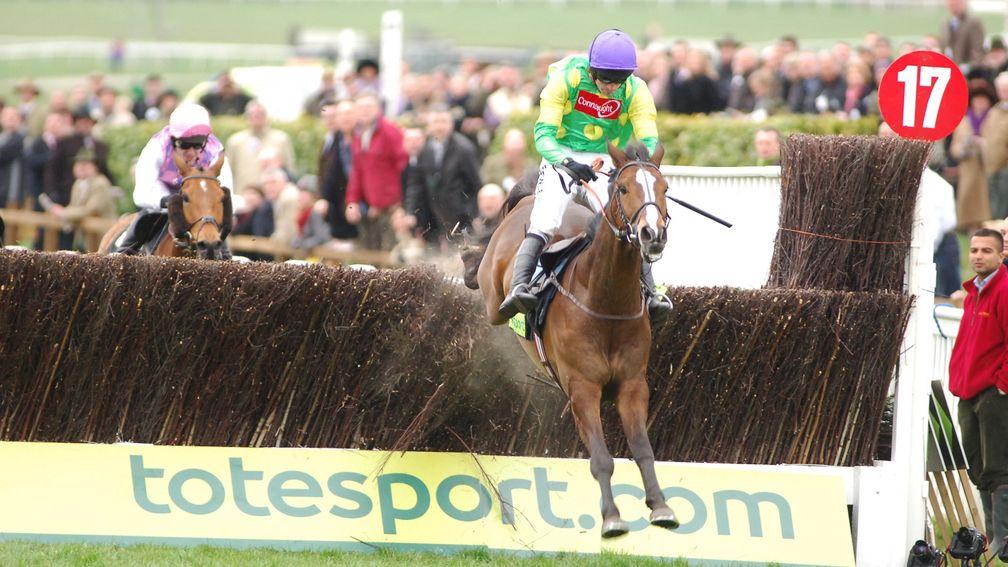 Kauto Star ran five times in the season leading up to his Gold Cup triumph in 2007