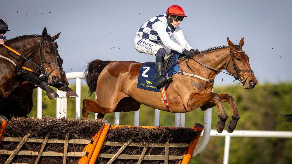 Ballyburn: is proving a popular ante-post selection for the festival