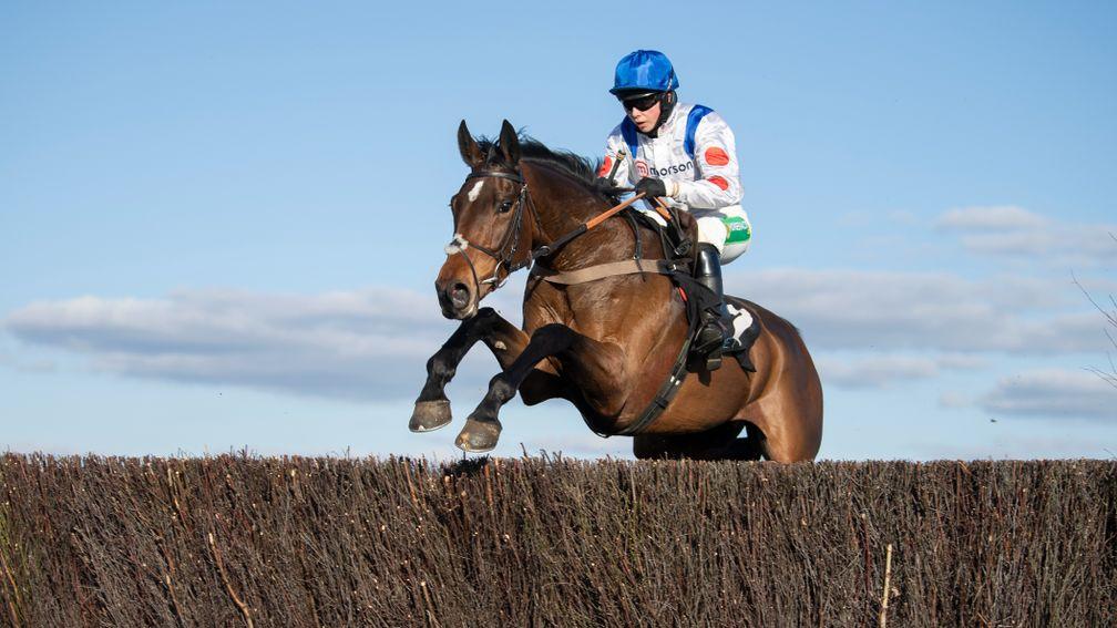 Hitman: has a "great chance" in Denman Chase according to his trainer Paul Nicholls