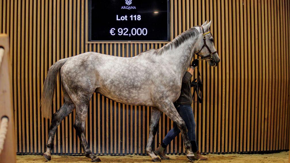 The well-bred Santa Fix sells for €92,000 