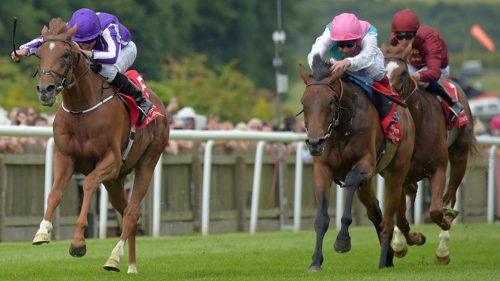 Platitude (right): defeated by Housesofparliament in the Group 3 Bahrain Trophy at Newmarket