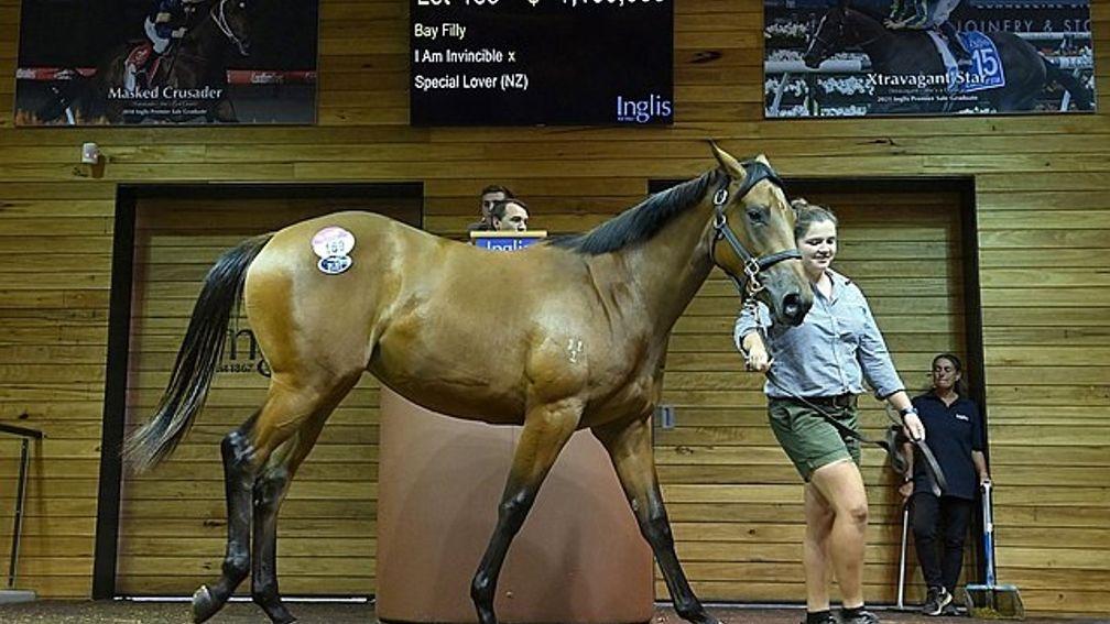 The A$1.1m I Am Invincible filly takes her star turn in the ring